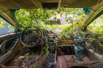 The interior of an abandoned vehicle surrounded by greenery