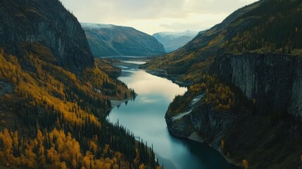 Aerial view of a diverse landscape featuring a winding river flowing through a mix of green and autumn-colored trees.
