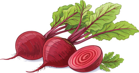 Beetroot with beetroot slice in white background vector design, Beetroot Illustration vector design