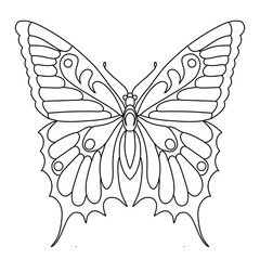 butterfly vector illustration