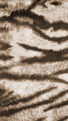Zebra Fabric Texture Close Up Animal Inspired Pattern Sepia Colored Soft Textile Background Abstract Wild Design