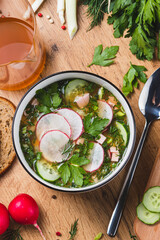 Kvass okroshka with radishes and herbs