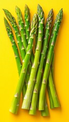 Fototapeta premium Vibrant Green Asparagus Stalks, Isolated on a Bold Yellow Background, Culinary Essence