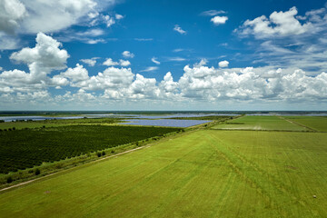 Aerial view of green farm fields in summer season with growing crops. Farming and agriculture industry