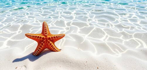 A vibrant starfish rests on a pristine sandy beach, clear turquoise water shimmering in the summer sun, beach, sea