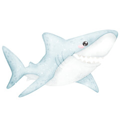 Cute watercolor shark funny playful predator under the sea