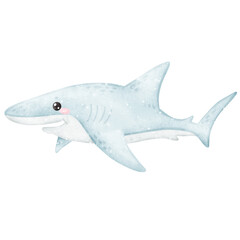 Cute watercolor shark funny playful predator under the sea