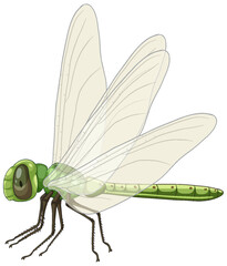 Detailed Vector Illustration of a Green Dragonfly