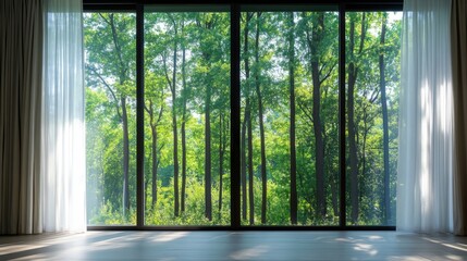 Sunlight filters through glass panes showcasing a serene forest view in a modern interior setting during daylight hours