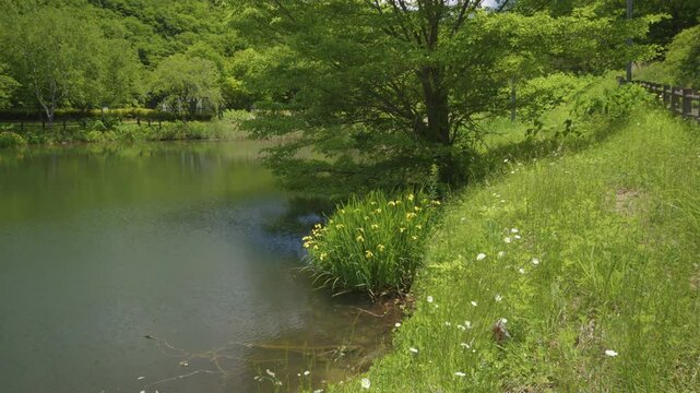 宮城県七ヶ宿町 長老湖の風景 Scenery of Lake Choro in Shichikashuku Town, Miyagi Prefecture