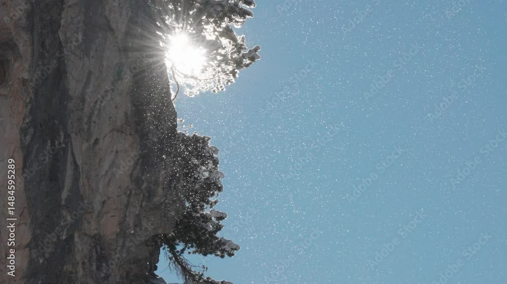 Poster close-up view of sparkling snowflakes drifting in the light behind a snowy tree trunk, which clings 