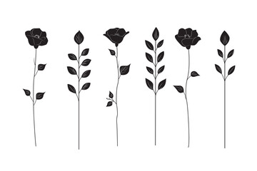 Naklejka premium Flower stalk; garden flowers. Black silhouettes of flowers.; Vector illustration