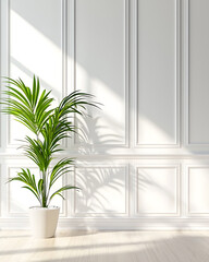 Bright interior featuring large potted plant against wall with white wainscoting, creating serene and inviting atmosphere