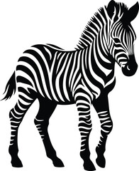 Iconic Zebra Foal Symbol