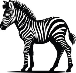 Minimal Zebra Foal Icon