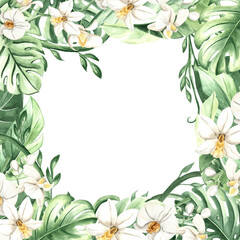 Watercolor tropical leaves and white orchid flowers isolated illustration of frame. Postcard template for rainforest designs. Hand drawn monstera, phalaenopsis and lush foliage of exotic jungle plants