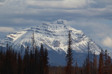 Obraz premium Beauty Of Jasper, Jasper National Park, Alberta