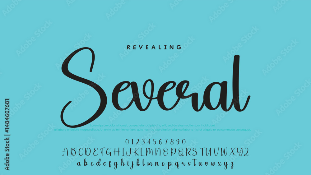 Poster handwrite signature font calligraphy logotype script brush font type font lettering handwritten