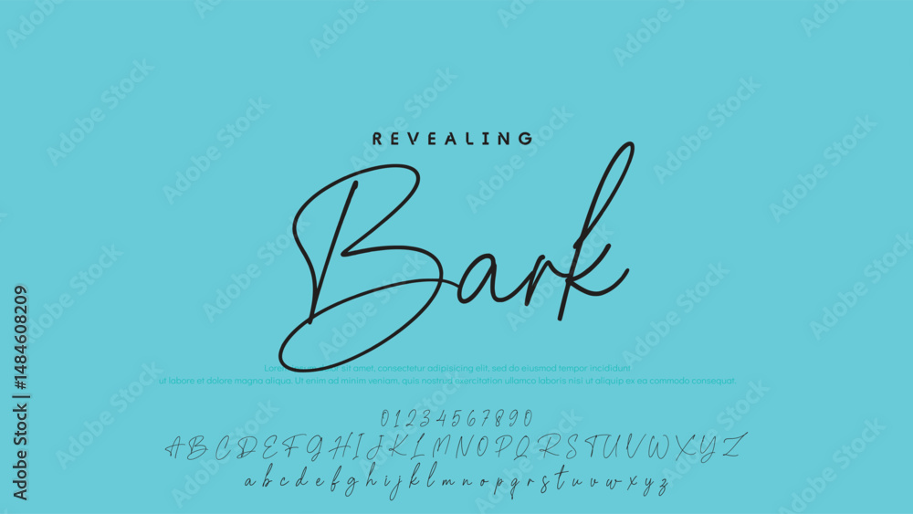 Poster handwrite signature font calligraphy logotype script brush font type font lettering handwritten