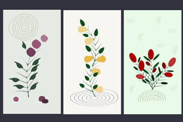 A set of three botanical drawings in a minimalist style. Vector illustration for wall decor design, postcards, book cover