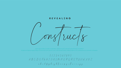 Hand drawn vector alphabet. Modern monoline signature script font. Elegant Signature Font. Best Alphabet Beautiful Calligraphy Signature Font