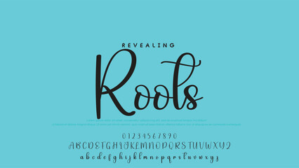 Hand drawn vector alphabet. Modern monoline signature script font. Elegant Signature Font. Best Alphabet Beautiful Calligraphy Signature Font