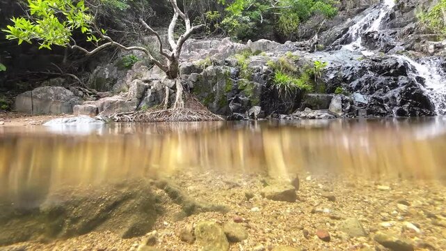 Tranquil Siu Chik Sha River Flowing Through Forest Landscape May 10 2025