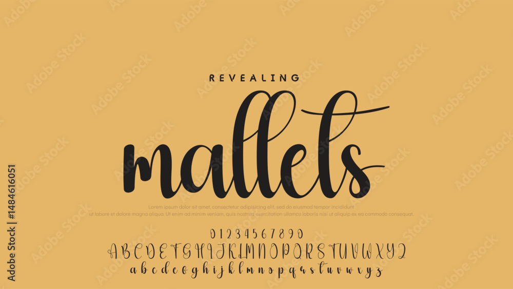 Poster hand drawn vector alphabet. modern monoline signature script font. elegant signature font. best alph