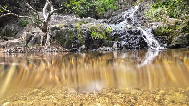 Tranquil Siu Chik Sha River Flowing Through Forest Landscape May 10 2025