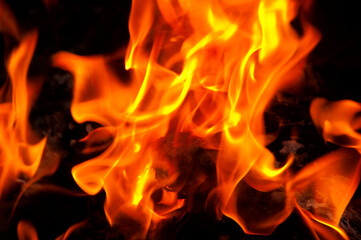 Fototapeta premium Fire flames on black background.