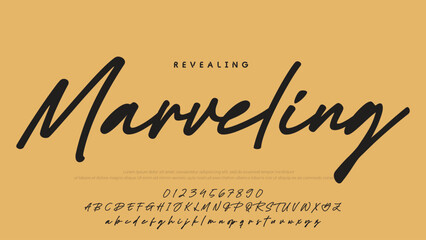 Hand drawn vector alphabet. Modern monoline signature script font. Elegant Signature Font. Best Alphabet Beautiful Calligraphy Signature Font