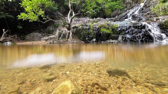 Tranquil Siu Chik Sha River Flowing Through Forest Landscape May 10 2025