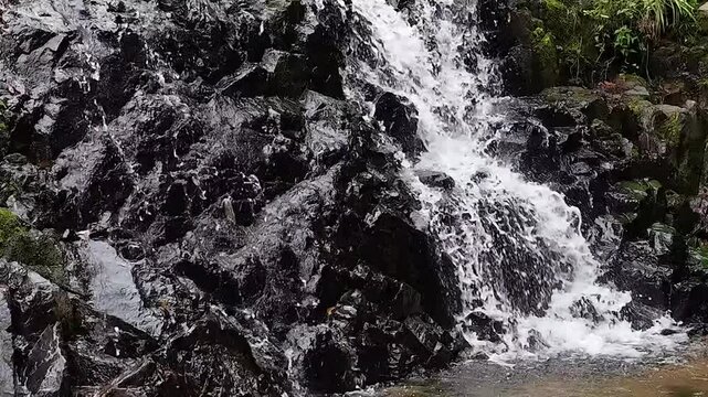 May 10 2025  Siu Chik Sha Waterfall Cascading in Forest Landscape