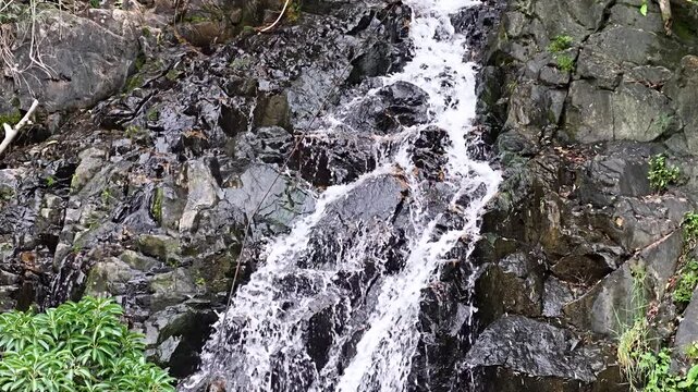 May 10 2025  Siu Chik Sha Waterfall Cascading in Forest Landscape