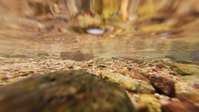 Tranquil Siu Chik Sha River Flowing Through Forest Landscape May 10 2025