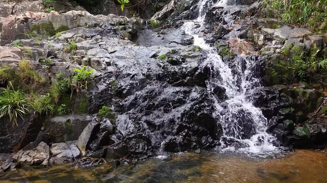May 10 2025  Siu Chik Sha Waterfall Cascading in Forest Landscape