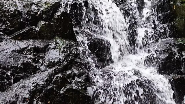 May 10 2025  Siu Chik Sha Waterfall Cascading in Forest Landscape