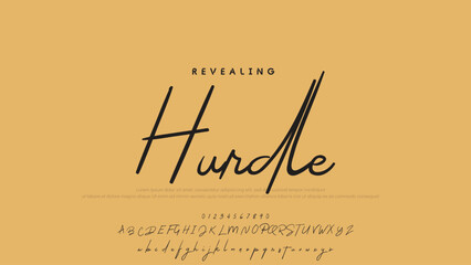 Signature script lettering font.