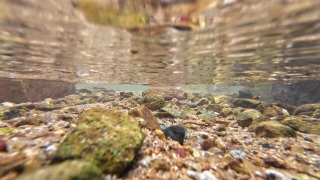 Tranquil Siu Chik Sha River Flowing Through Forest Landscape May 10 2025