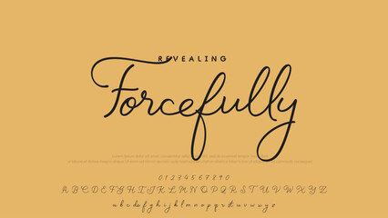 Signature script lettering font.