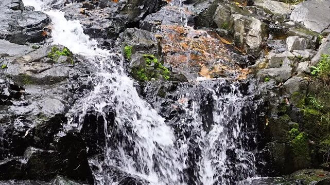 May 10 2025  Siu Chik Sha Waterfall Cascading in Forest Landscape