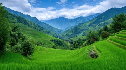 Obraz premium Vibrant Green Rice Terraces and Mountain Landscape