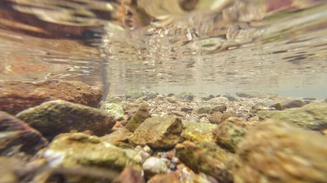 Tranquil Siu Chik Sha River Flowing Through Forest Landscape May 10 2025