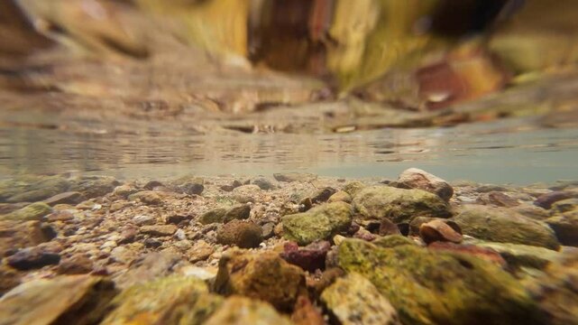 Tranquil Siu Chik Sha River Flowing Through Forest Landscape May 10 2025