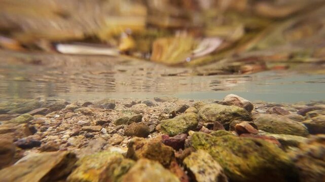 Tranquil Siu Chik Sha River Flowing Through Forest Landscape May 10 2025