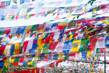 Obraz premium Prayer flags in Sacred garden of Lumbini