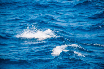 Naklejka premium Ocean wave water background, Abstract blue sea water.
