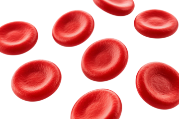 red blood cells isolated on white