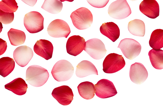 red hearts background