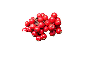 A close up shot of a cluster of small red berries isolated on a black background in a studio setting